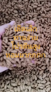 BD- [2 รสชาติ 2 ถุง]อาหารแมวรสปลาทู-ปลาทูน่าแบ่งขาย ขนาด 250 กรัม โปรตีนสูงไขมันสูง เหมาะสำหรับทุกสายพันธุ์