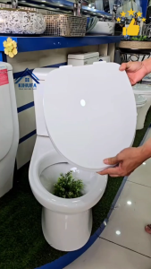 Nắp bồn cầu Đóng Êm thay thế cầu INAX mã C900 C909 C918 C991 C959 nắp bàn cầu Trắng  Chống Bám Bẩn N42IN