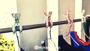 Jepitan Baju Jemur Pakaian Handuk Sprei Bed Cover Kaos Kaki Karpet Plastik Anti Karat Jumbo Murah