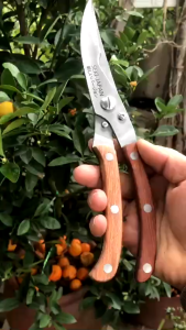 Kéo Cắt Gà Vịt Cắt Tỉa Cây Cảnh Đa Năng Seki Siêu Bền Chống Gỉ Sạch Sẽ Tiện Lợi SP20