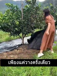 พลาสติกคลุมดินป้องกันการเจริญเติบโตของวัชพืช ใช้วัสดุทนทาน ป้องกัน UV เหมาะสำหรับการเกษตรและสวน รักษาความชื้นของดินได้ดี