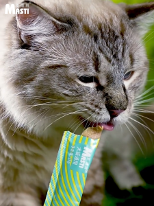 MASTI pet stick for CAT AND DOGS 15g treat and snack chicken and beef food kucing makanan 犬猫通用