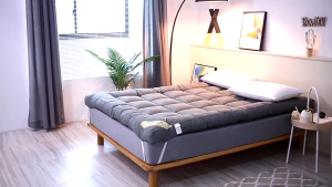 Mattress Queen Super Elastic Four Seasons Universal Thicken Mattress Foldable Tatami Dormitory Home Mattress Full Size
