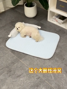 Pet Cooling Mat Dog Cat Cooling Pad Big eyed monster Breathable Washable Mats Cat Dog Bed Pets Heat Relief Mattress Summer Cooling Pads
