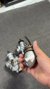 Co xăng cho bình xăng Redleonibbibông mai MS02