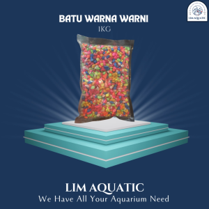 ( 1 KG ) Batu Warna Warni Aquarium / Batu Hiasan Aquarium