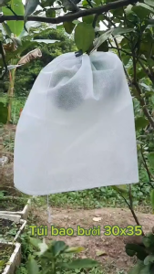 35×40cm 100 cái TÚI BAO BỌC DƯA LƯỚIBƯỞINHOCHÙM NHO TÚI BAO BỌC TRÁI CÂY