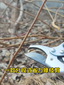 กรรไกรตัดกิ่ง SK5 กรรไกรตัดกิ่งไม้ กรรไกรแต่งกิ่ง ทำสวน กรรไกรตัดแต่งกิ่งไม้ เครื่องมือจัดทำสวน มีระบบล็อคด้าม กรรไกรตัดกิ่งไม้ กรรไกรตัดกิ่ง