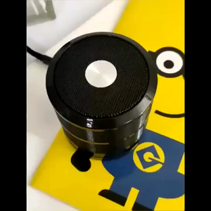 Portable Bluetooth Speaker WS-887Out Door Speaker