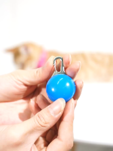 Đèn led chống đi lạc cho Chó Mèo hình mặt dây chuyền (mẫu mới) - Love Pets Shop