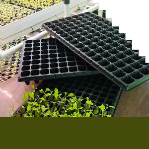 Jirifarm Paket 10 Pcs Tray semai Ukuran 54x28x4.2cm Tebal dan Termurah