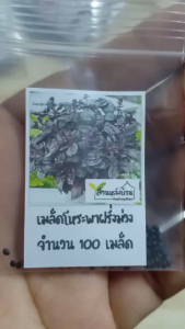 100 เมล็ด โหระพาฝรั่งสีม่วง อิตาเลี่ยนเบซิล โหระพาใบใหญ่ โหระพาอิตาเลี่ยน เมล็ดโหระพาฝรั่ง เมล็ดอิตาเลี่ยนเบซิล เมล็ดโหระพาใบใหญ่ โหระพาฝรั่ง