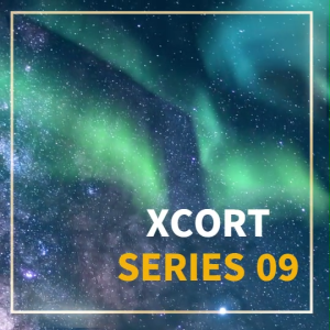 (SERIES 9)XCORT ไขควงกระแทกบลัสเลสไร้สาย แรงบิดสูงสุด 220 NM แบตเตอรี่ 21V 2000 mAh ปรับได้ 8 โหมด รุ่น XC9-6351