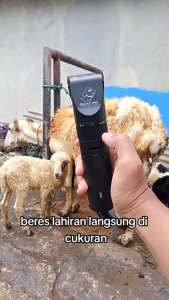 COD BaoRun Alat Cukur Bulu Binatang & Electric Pet Dog Hair Clipper - S1 Pro