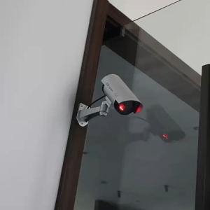 Dummy Fake Camera Bullet Dummy Waterproof Camera Red Flashing Led Dummy CCTV Security System