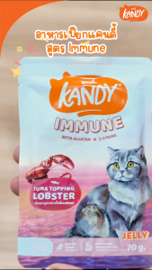 [HỘP 12 GÓI] Kandy Candy mèo 70g x 12 gói 🐶 FREE SHIP 🐶 Thức ăn hỗ trợ chức ăn
