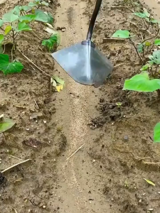 JELLINO🔥จัดส่งจากกรุงเทพค่ะ🔥จอบสามเหลี่ยม จอบขุดดิน ขนาดใหญ่ ถางที่รกร้าง จอบทำร่อง สามเหลี่ยมจอบอุปกรณ์เกษตร จอบ จอบขยันถากหญ้า จอบดายหญ้า จอบกำจัดวัชพืช พรวนดิน จอบไถ หัวจอบ จอบถากหญ้า คราด คราดเหล็ก คราดถากหญ้า คราด อุปกรณ์ทำสวน จอบ คราดทำสวน