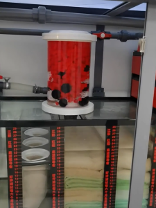 (100 gram ) K1 K2 K3 VOONLINE BABYLON Bio Media Premium Quality Aquarium Sump Filter MBBR