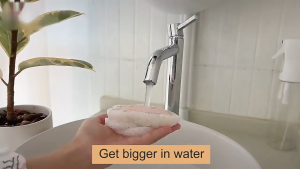 TLE Dishwashing Sponge Kitchen Compressed Wood Pulp Sponge Wipe Scouring Pads Expandable Sink