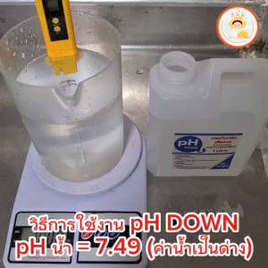PH DOWN ขนาด 1 ลิตร ใช้ปรับลดค่า PH น้ำ สำหรับผักไฮโดรโปนิกส์ ผักดูดซึมธาตุอาหารได้ดีขึ้น