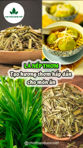 Lá nếp sấy lạnh 500g lá dứa thơm nấu xôi chè tạo màu tự nhiên tăng hương vị món ăn