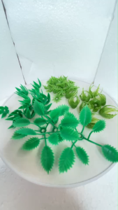 ไม่ปลอดภัย แพ็ค100ชิ้น ขั้วดอกไม้พลาสติก ก้นดอกไม้ ขั้วชบา ขั้วมะเขือเทศ ขั้วสตอเบอรี่ ขั้วกู้ ก้นกู้ พับเหรียญ