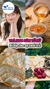 Lá nam sâm tố nữ 10 set (cân bằng nội tiết tố trắng da mờ nám da đẹp dáng xinh) - Thảo Dược Hạnh Nguyên Chăm Sóc Da Đẹp Dáng Xinh - Lazada