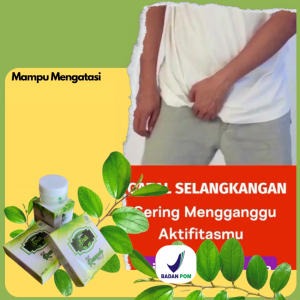 Salep Bidara Sirih Salep Gatal Alami Cream Herbal Bidara Sirih - Lazada