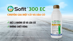 Thuốc diệt mầm SOFIT 300EC SYNGENTA Chai 1 Lít
