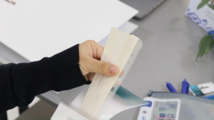 Bantex Adhesive Filing Strips (10 pcs/pack) #8875 00