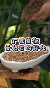 BATU MAIFAN/船长花园黄金软质麦饭石 MAIFANITUM BONSAI SUCCULENT CACTUS SOIL maifan stone succulent soil Granular soil (2-4mm/3-5mm/4-6mm))5kg
