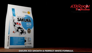 Sakura Fish Food - Growth and Perfect White - 15KG (Floating)