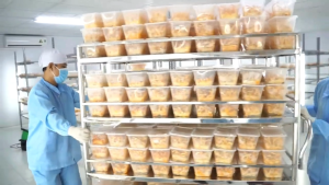 Đông trùng hạ thảo sấy khô 15g Đông trùng hạ thảo cao cấp sấy thăng hoa Nấm Vàng Việt Nam TH15G