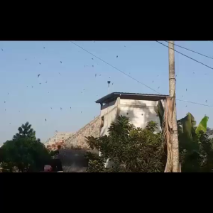 SUARA WALET PRODUKSI AMS  ASLI 100% ORIGINAL GARANSI RESMI 1TAHUN FLASHDISK