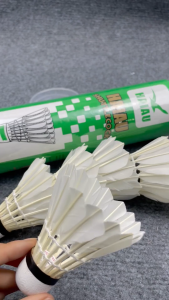 Hộp Cầu Lông Đế Gỗ Hải Âu Ống Cầu Lông Vịt Quả Cầu Lông Vũ Trắng Trái Cầu Lông Vịt Luyện Tập