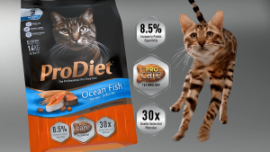 ProDiet 1.3KG Kitten Miky Ocean Fish Dry Food x 7 Packs