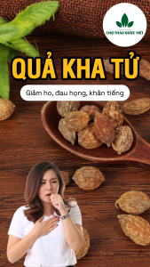 Quả kha tử khô 500g hạt to sạch kha tử ngậm ho dùng nấu siro hỗ trợ giảm đau họng khan tiếng