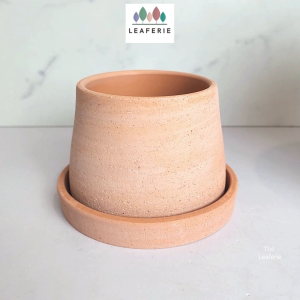 The Leaferie Yvla Terracotta plant pots . Orchid flowerpot . flowerpots flower pot planter . planters