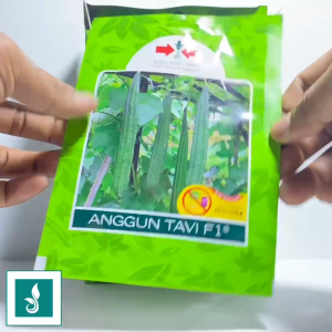 Benih Oyong Gambas ANGGUN TAVI F1 Isi 20 Butir Cap Panah Merah