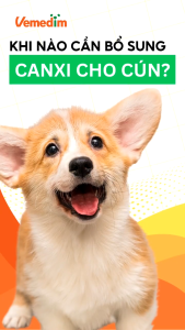 Calci Tab viên bổ sung canxi và khoáng chất cho chó mèo thú cưng xương răng chắc khỏe hộp 50 viên