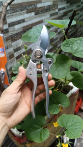 (Rẻ vô địch) [ Giá bán 1 cái ] Kéo cắt cành Kapusi K-8618 hàng chính hãng thép SK5  lưỡi kéo có đá tự mài bén