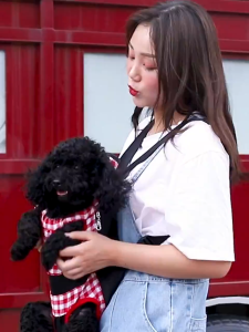 Ultimate Guide to Choosing & Using Front Pet Carriers: Puppy & Kitten Friendly