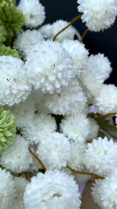 5 kuntum bunga pompom kecil artificial flower pompom