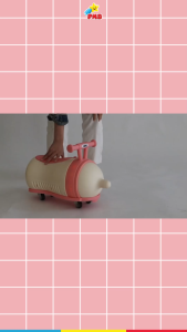 Mainan Sepeda Anak Ride On IORA TM10 – PMB Toys