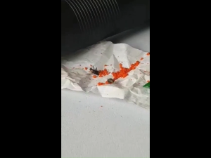 【No flies within 500m】BD 25pcs/Box Powder Fly Killing Bait Powder Fly Killer Non -toxic Odorless 100% Fly Killing Rate Eco-Friendly Effective Medicine Insecticide Roach Killer Pest Control Fly killer granules