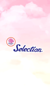 Selection Cotton Bud isi 100 pcs - Korek Kuping SH J29