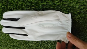 Găng tay golf  FJ PRACTEX Tay phải -Right hand golf glove [ chính hãng 100% ]