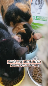 POODEE PETS Malaysia Natures Protection 2kg Cat Food Kitten Indoor Sensitive Urinary Indoor Cat Formula Food Adult Kitten Cat Food