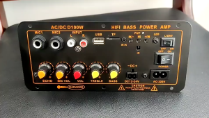 D100 Ampli Full Bass Subwoofer 8 Inch 10 Inch 12 Inch Hi-Fi Bluetooth Rumah Mobil Audio Power Super Bass Bluetooth Amplifiers AC 220V 12V 24V Daya Ditingkatkan Amplifier Otomatis Siaran FM Pemain High-Fidelity Bass Power Dual Mendukung USB TF Remote Contr