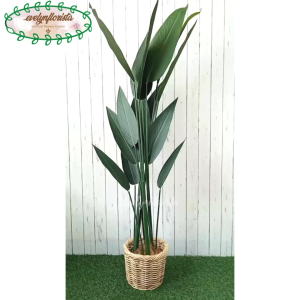 Pohon Artificial Daun Pisang Heliconia T150 Latex Pot Dasar Hitam Cover Rotan Small Hiasan Ruang Tamu